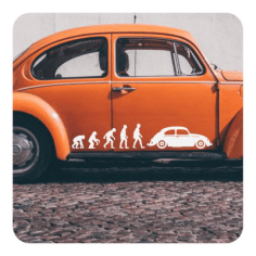 Sticker evolucion beetle